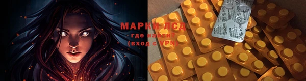 Альфа ПВП Аркадак