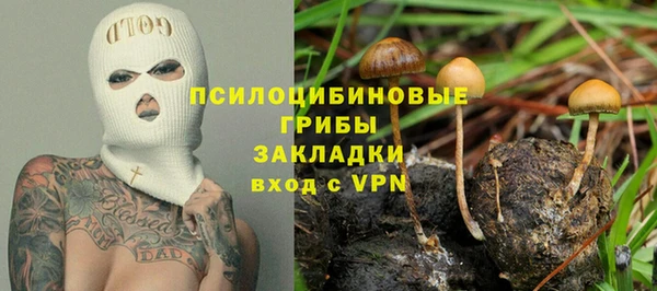 гидра Ельня
