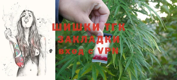 Альфа ПВП Аркадак