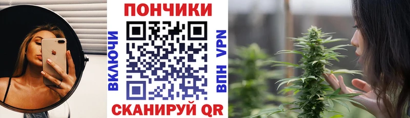 Бошки Шишки SATIVA & INDICA  купить наркоту  Полярный 